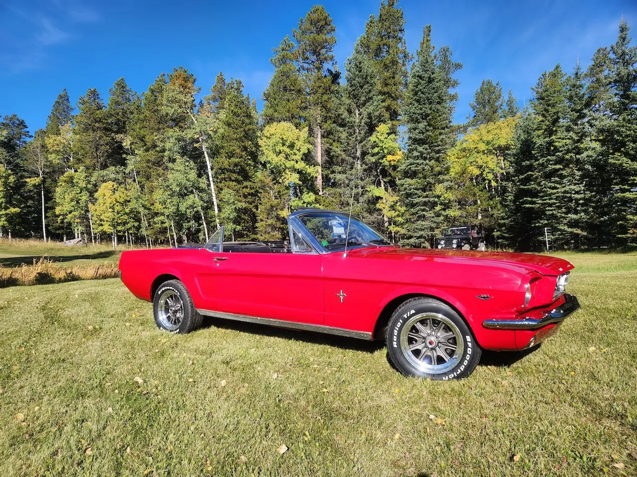 1966 Ford Mustang 289 Covertable custom build at E-MORTAL CUSTOMS